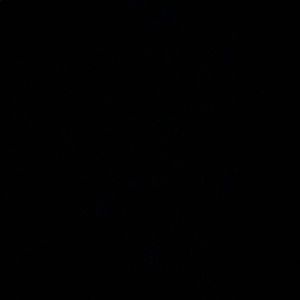 Meet your Posher, Jess